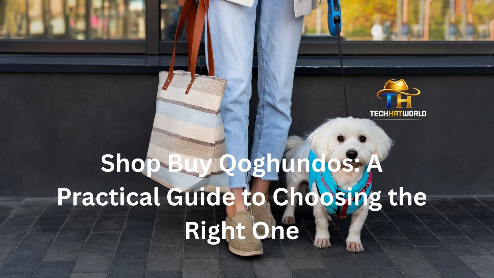 Shop Buy Qoghundos: A Practical Guide to Choosing the Right One